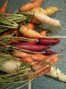 cleaned kaleidoscope carrots